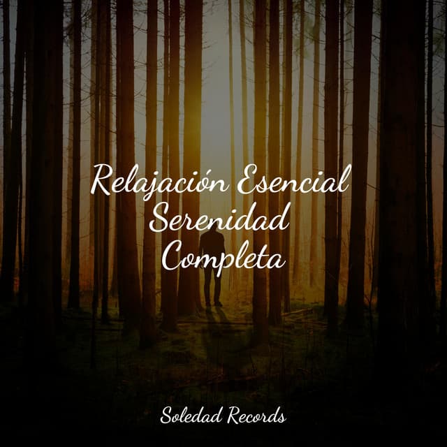 Relajación Esencial Serenidad Completa - Sonidos de lluvia para dormir