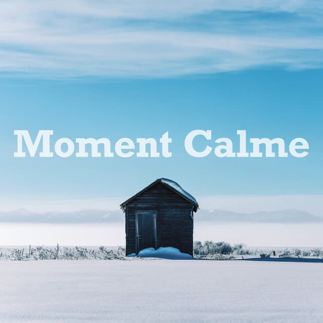 Moment Calme - Oasis de Détente et Relaxation