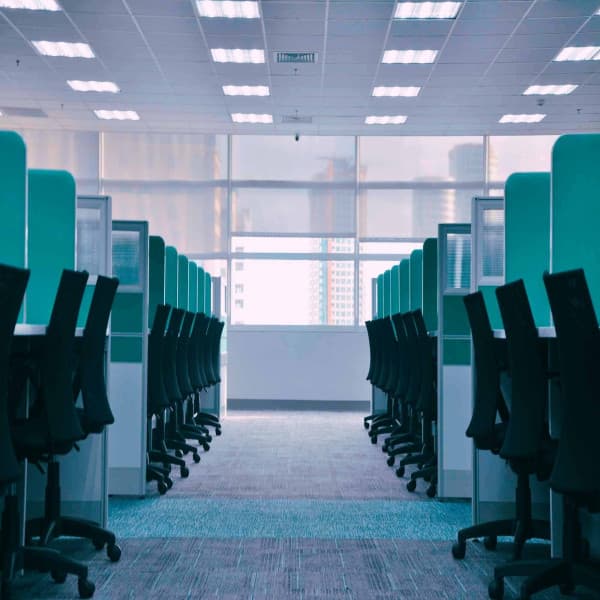 Echoes of Comfy Offices - Essential Dinner Party Background Music