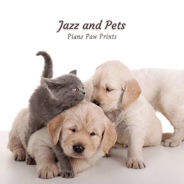 Jazz and Pets: Piano Paw Prints - Smooth Jazz