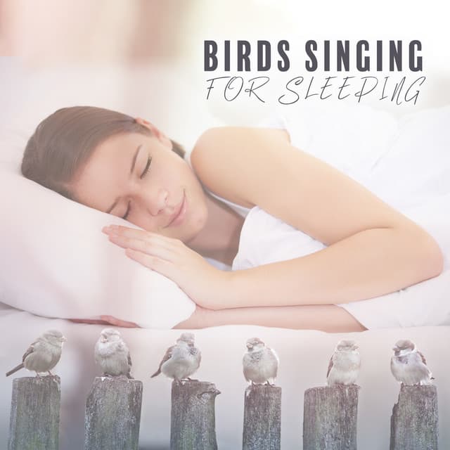 Birds Singing for Sleeping - Giulia Tylor
