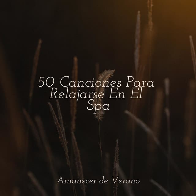 50 Canciones Para Relajarse En El Spa - Música para Correr