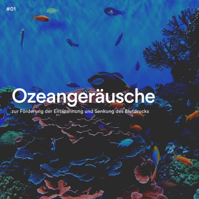 #01 Ozeangeräusche zur Förderung der Entspannung und Senkung des Blutdrucks - Meeresgeräusche