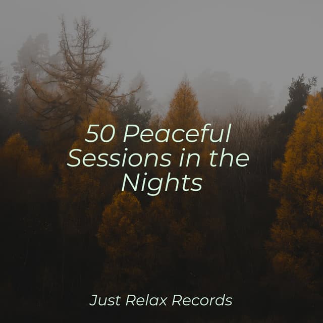 50 Peaceful Sessions in the Nights - Relaxing Mindfulness Meditation Relaxation Maestro