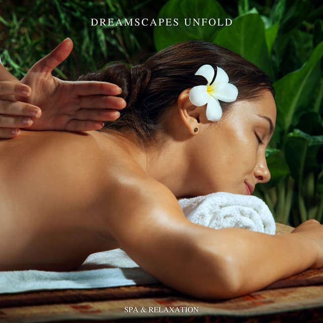 Dreamscapes Unfold: Relaxation Massage Music - Spa & Relaxation