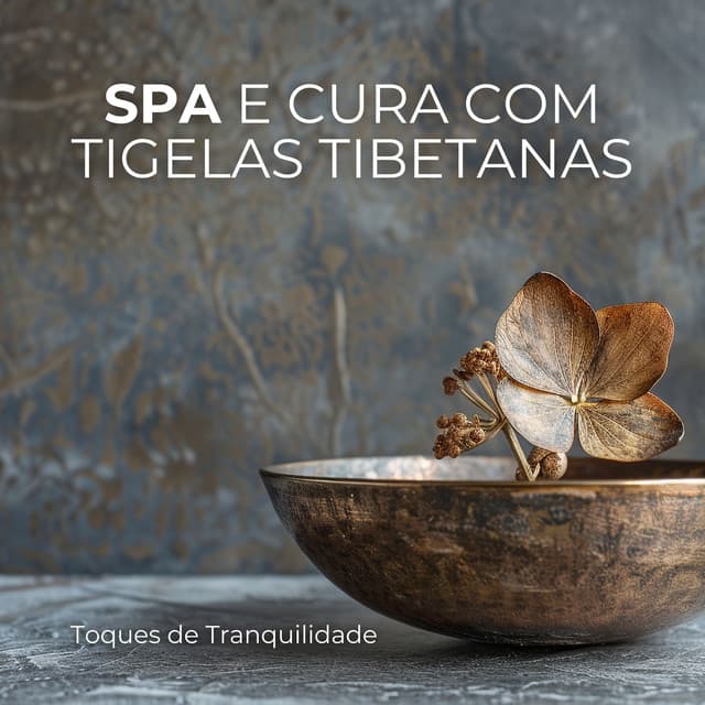 Toques de Tranquilidade: Spa e Cura com Tigelas Tibetanas - Zona de meditação de cura