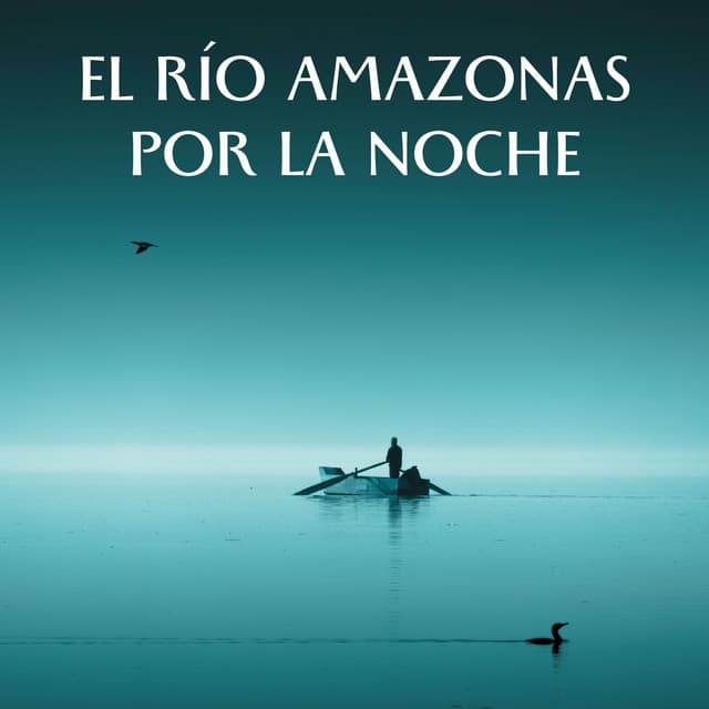 El Río Amazonas Por La Noche - Ciencia de la cascada