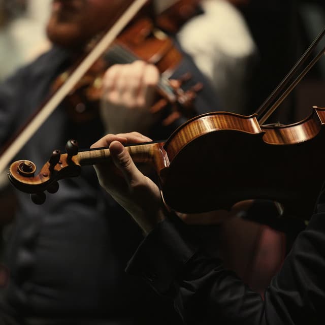 Orchestra Sounds for Gentle Relaxation - Charles Anderson