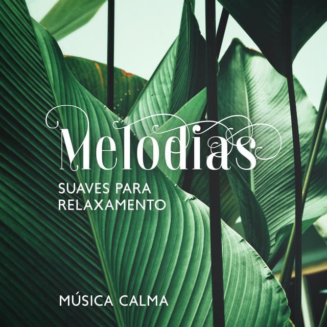Melodias Suaves para Relaxamento: Música Calma New Age, Body Relief e Respiração Profunda - Academia Sons da Natureza