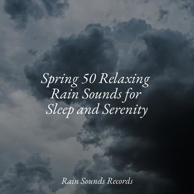 Spring 50 Relaxing Rain Sounds for Sleep and Serenity - Forest Sounds