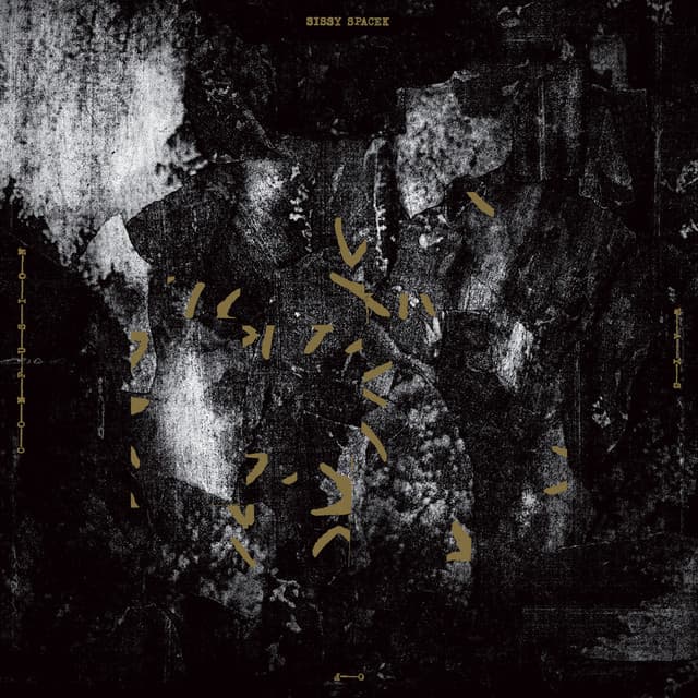 Ways of Confusion - Sissy Spacek