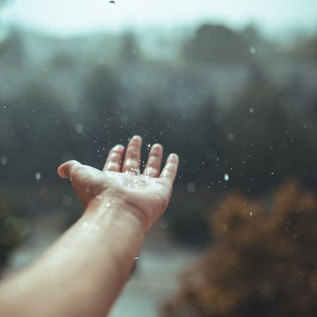 Serenading Raindrops: Ethereal Harmony in Rain's Grace - Nature Calm