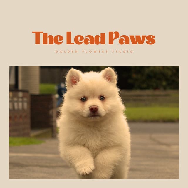 The Lead Paws - Sleeping Music For Dogs