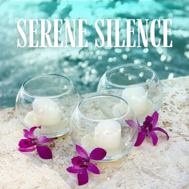 Serene Silence: Calming Spa Music - Spa Music Collection