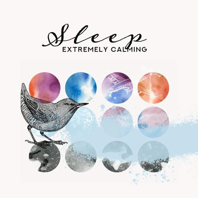 Sleep – Extremely Calming, Relaxing Tracks for Sleeping in the Plane: Nature Sounds - Sleep & Dream Music Academy
