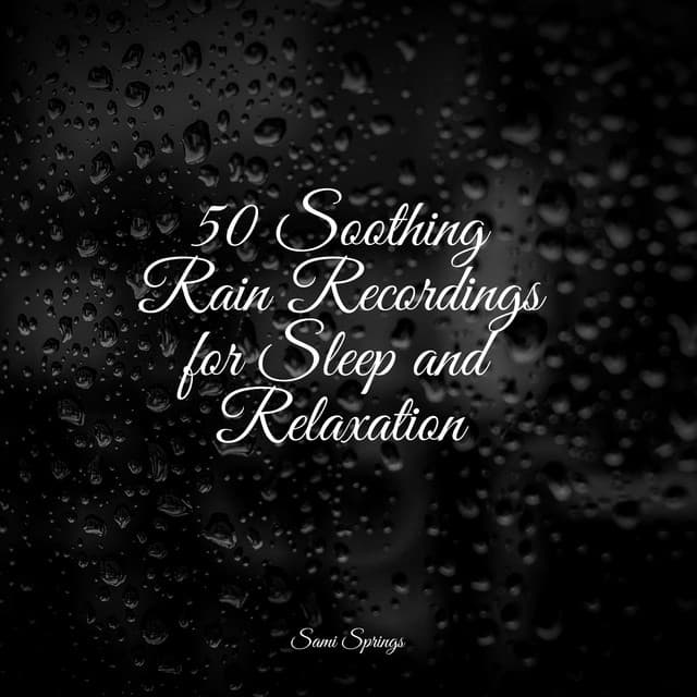 50 Soothing Rain Recordings for Sleep and Relaxation - Life Sounds Nature