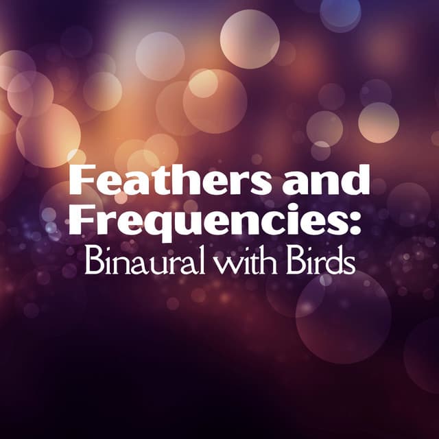 Feathers and Frequencies: Binaural with Birds - Binaural Collective