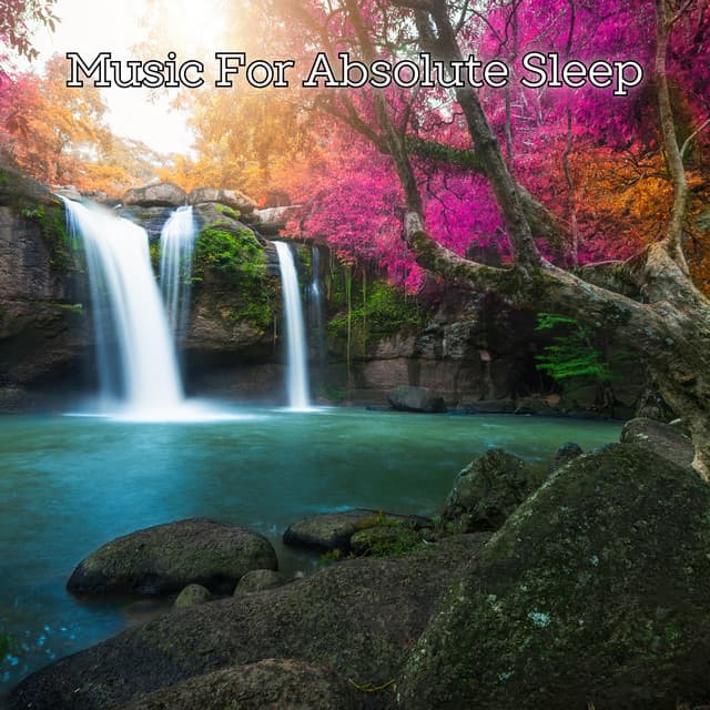 Calm Mind Sleep Therapy Collection - Music For Absolute Sleep