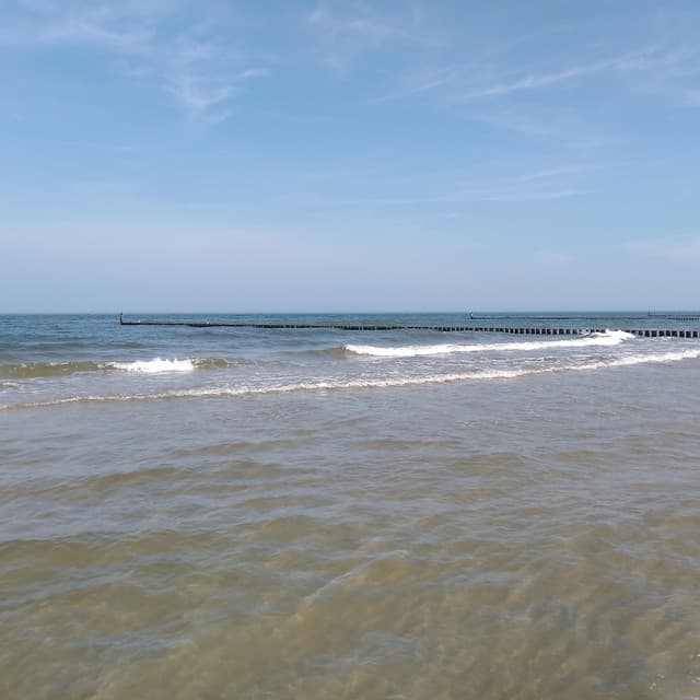 Easy Sunny Day - Jazzy Coffee