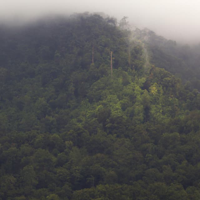 RuidoBranco e Chuva Noturna1 - Ruído Branco