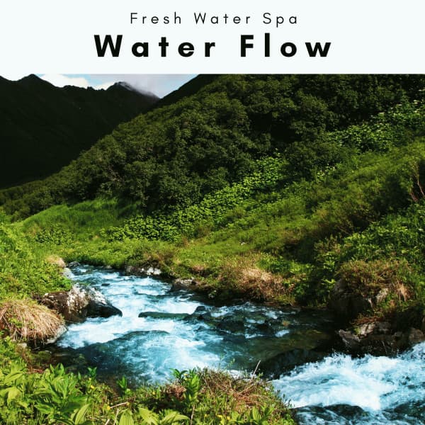1 Water Flow - Fresh Water Spa