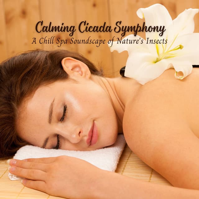 Calming Cicada Symphony: A Chill Spa Soundscape of Nature's Insects - Mother Nature