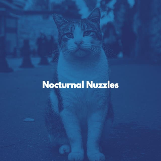 Nocturnal Nuzzles - Cat Music