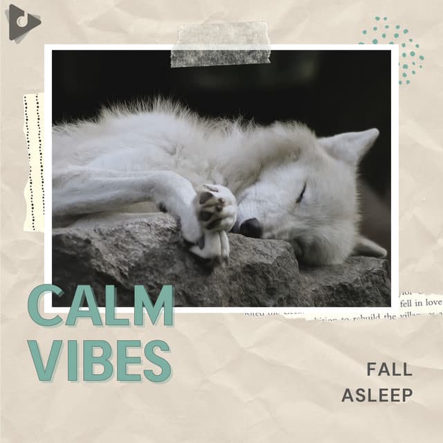Fall Asleep - Calm Vibes