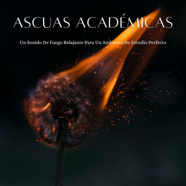Ascuas Académicas: Un Sonido De Fuego Relajante Para Un Ambiente De Estudio Perfecto - Fuego Ambiental