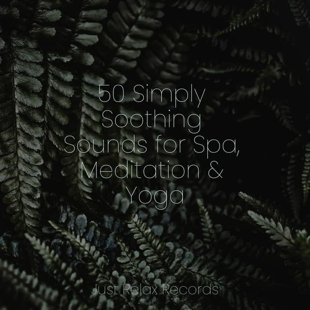50 Simply Soothing Sounds for Spa, Meditation & Yoga - Forest Sounds
