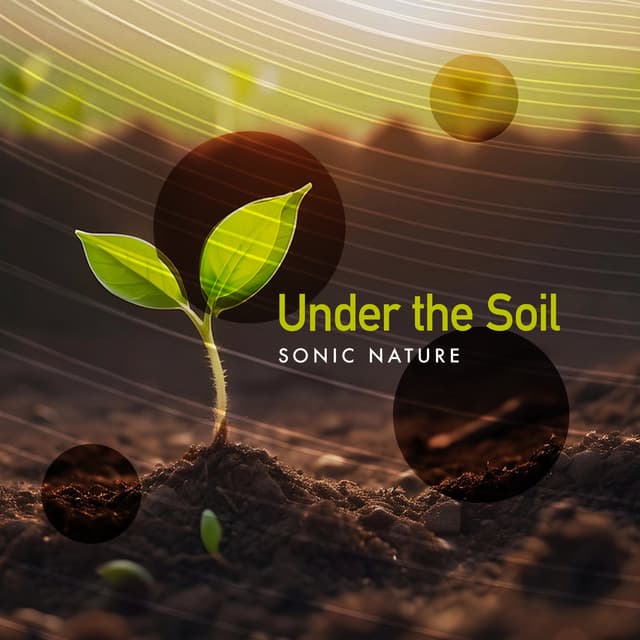 Under the Soil - Sonic Nature