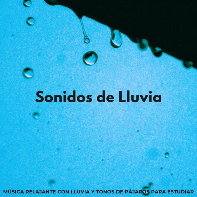 Sonidos De Lluvia: Música Relajante Con Lluvia Y Tonos De Pájaros Para Estudiar - Cara de lluvia