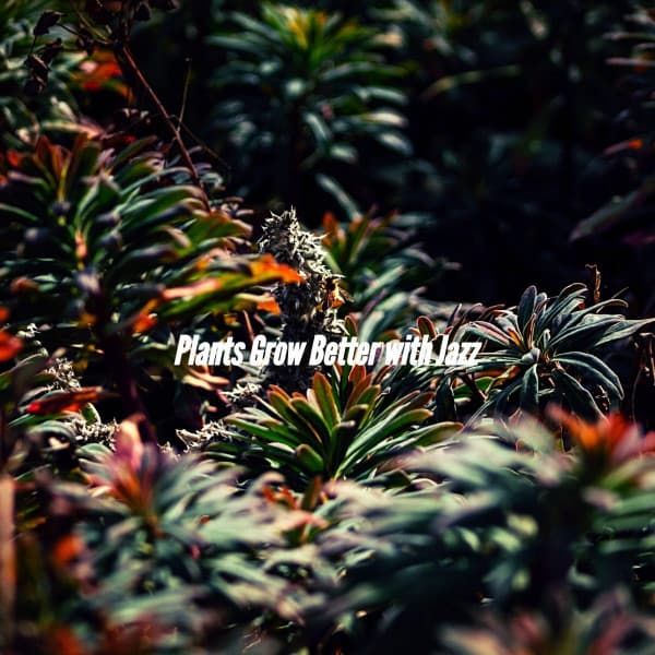 Plants Grow Better with Jazz - Relajante Jazz Bossa Nova