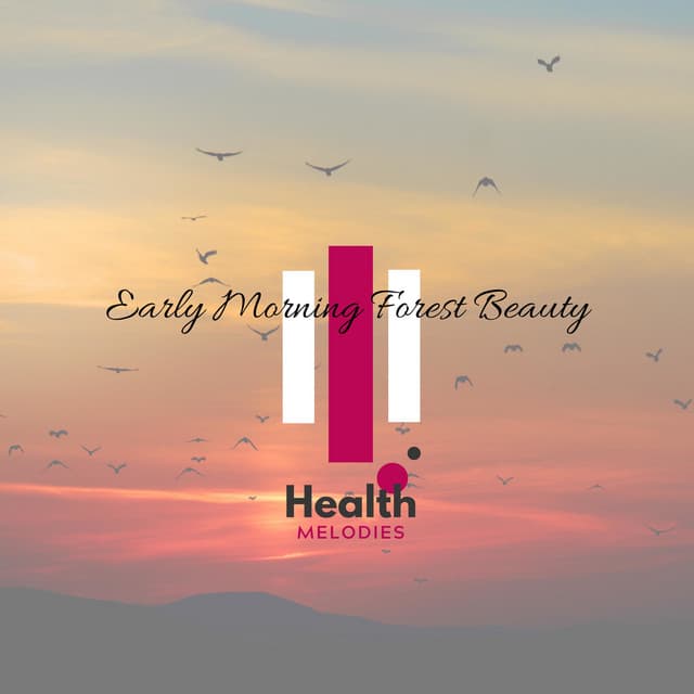 Early Morning Forest Beauty - Tranquil Forest Effect