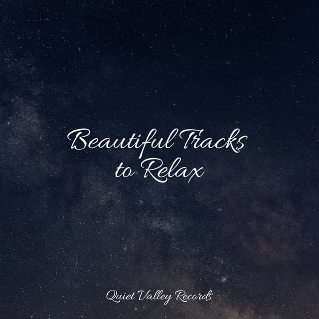 Beautiful Tracks to Relax - Soothing Nature Sounds
