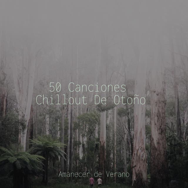 50 Canciones Chillout De Otoño - Study Music & Sounds