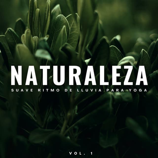 Naturaleza: Suave Ritmo De Lluvia Para Yoga Vol. 1 - Lluvia de yoga