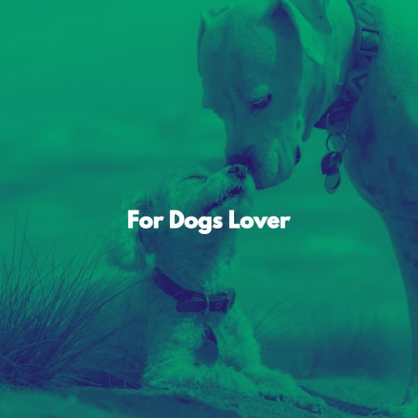 For Dogs Lover - Musik zum Lernen