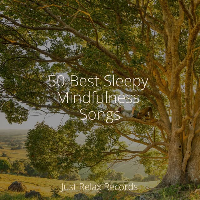 50 Best Sleepy Mindfulness Songs - CANCIONES DE CUNA