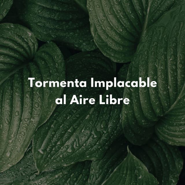 Tormenta Implacable Al Aire Libre - Tormentas eléctricas