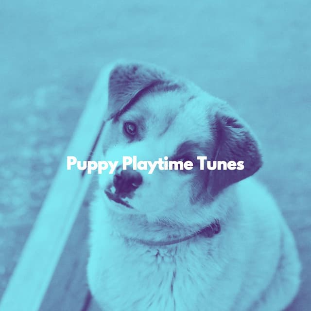 Puppy Playtime Tunes - Musica Relajante para Perros Momentos