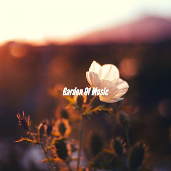 Garden Of Music - Hotel Lobby Jazz Music