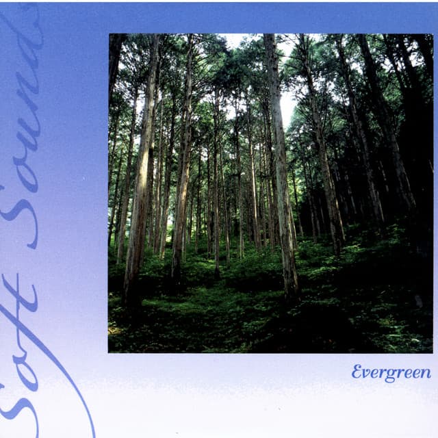 Evergreen - Soft Sounds