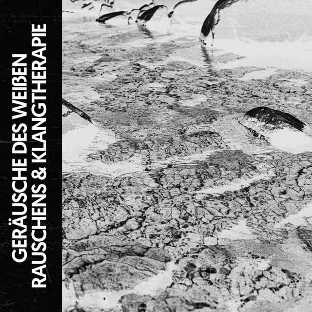 Weißen Rauschens & Klangtherapie: Zen-Gelassenheit der Natur - Relajacion