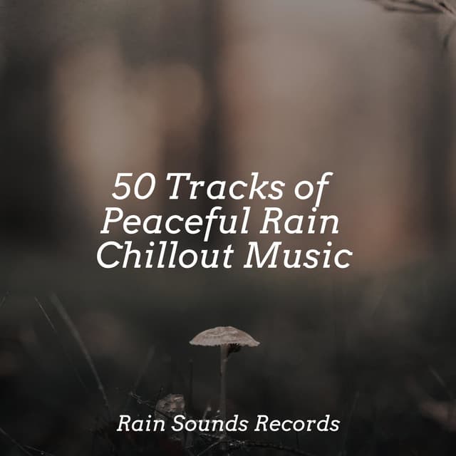 50 Tracks of Peaceful Rain Chillout Music - Nature Sounds