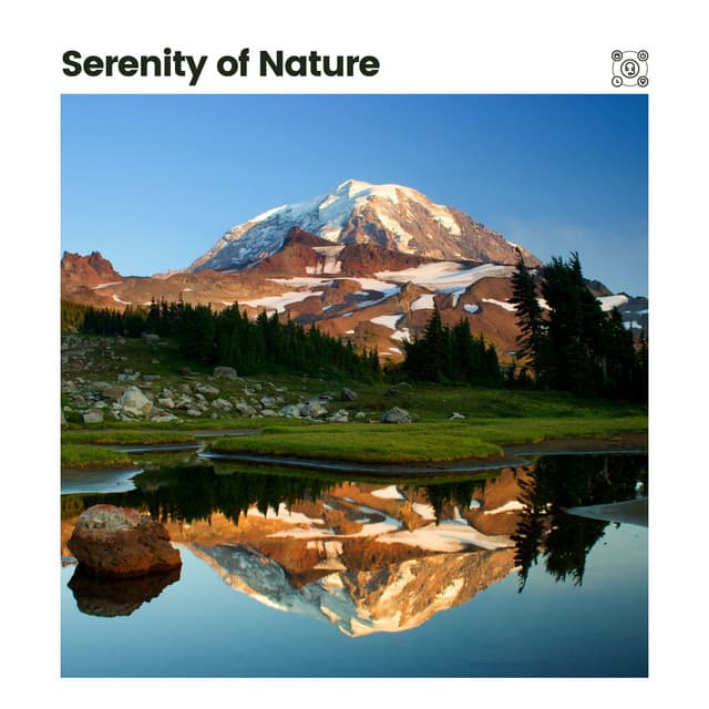 Serenity of Nature - Nature & Sounds Backgrounds