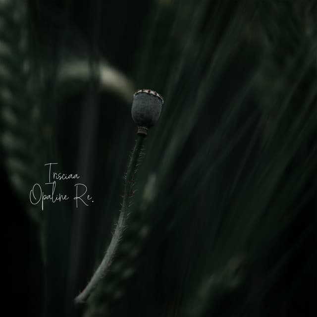 Opaline Re.