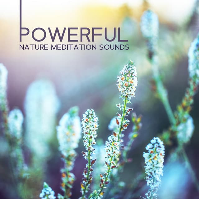 Powerful Environment Inner Silence Sounds - Sergei Leif