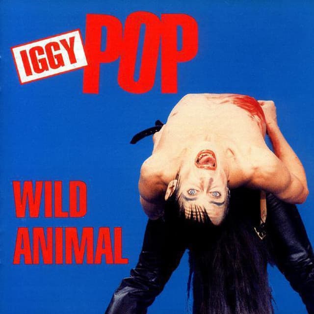 Wild Animal - Iggy Pop