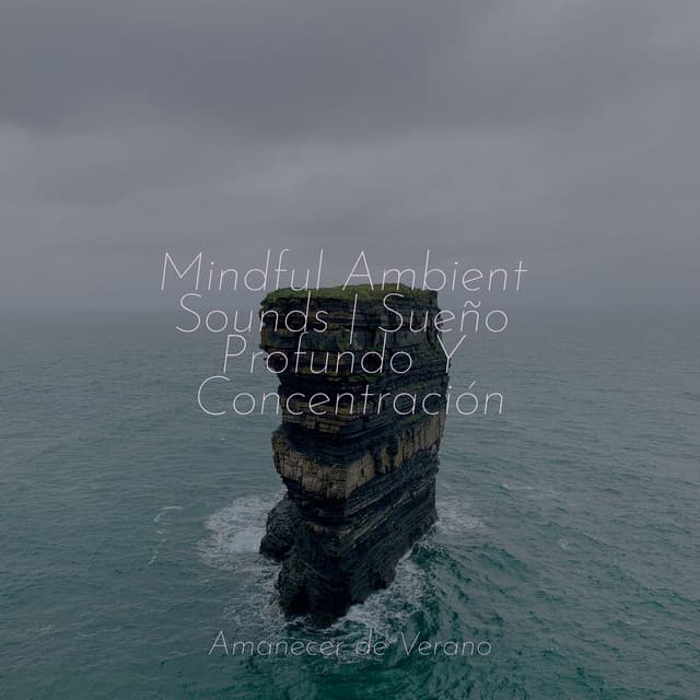 Mindful Ambient Sounds | Sueño Profundo Y Concentración - Musica para Meditar